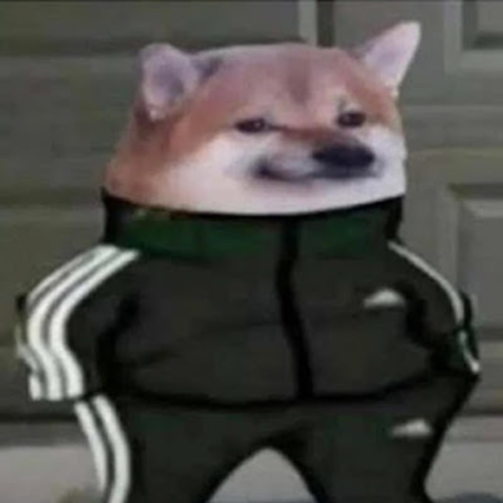 Meet your Posher, Doge